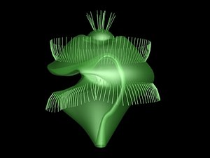 3d trochophore