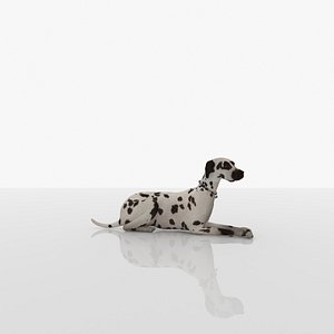 3D Dalmatian model
