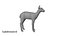 Fawn Low Poly