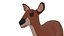 Fawn Low Poly