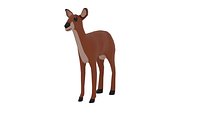 Fawn Low Poly