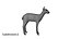 Fawn Low Poly