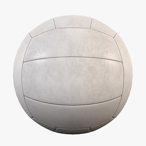 max ball volleyball white