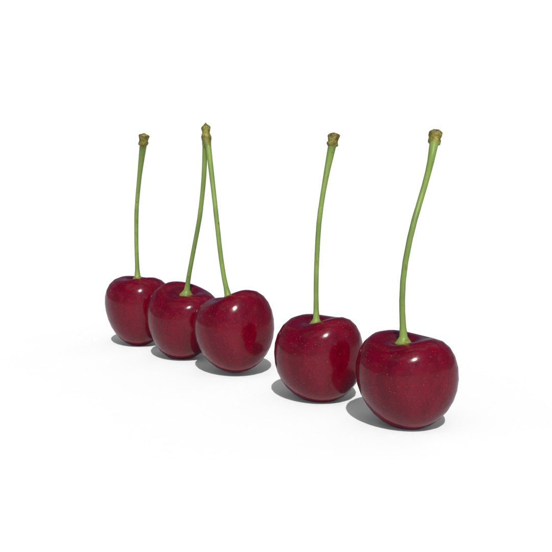 Cherries model https://p.turbosquid.com/ts-thumb/cw/YSMzQW/ax/cherry_fruit_preview_02/jpg/1716401064/1920x1080/fit_q87/14560395145f737db7b2f03b4078293e0e013229/cherry_fruit_preview_02.jpg