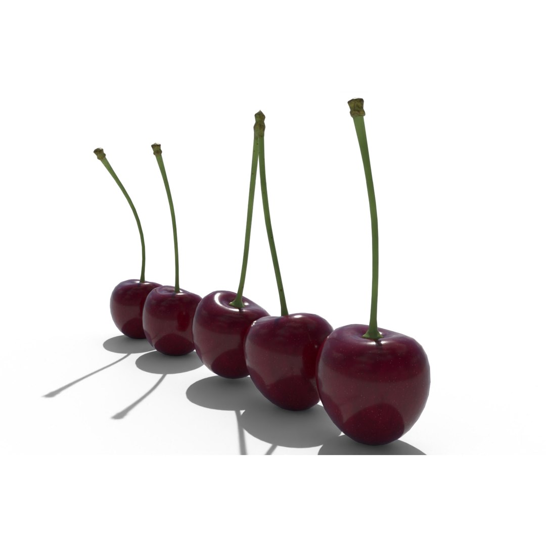 Cherries model https://p.turbosquid.com/ts-thumb/cw/YSMzQW/sD/cherry_fruit_preview_06/jpg/1716401083/1920x1080/fit_q87/ace324386752a3929f5b8f2288bc99b227b4ad06/cherry_fruit_preview_06.jpg