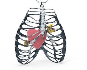 rib cage necklace heart 3D