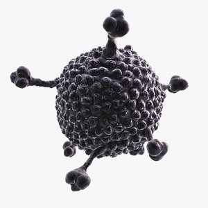 3d max adenovirus virus