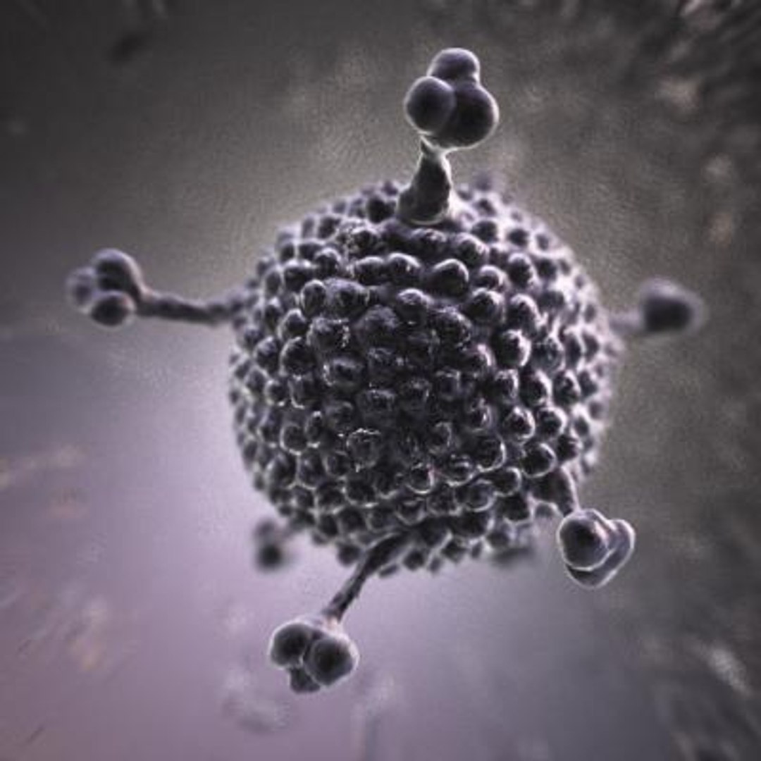 3d Max Adenovirus Virus
