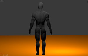 3d rigged male character