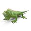 3ds lizards chameleon iguana gecko