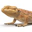 3ds lizards chameleon iguana gecko