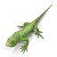 3ds lizards chameleon iguana gecko