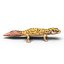 3ds lizards chameleon iguana gecko
