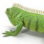 3ds lizards chameleon iguana gecko
