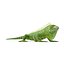 3ds lizards chameleon iguana gecko
