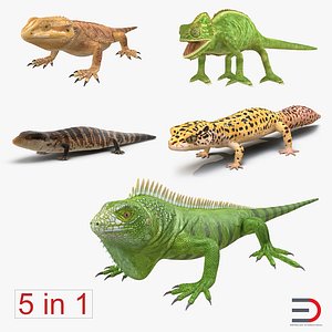 3ds lizards chameleon iguana gecko