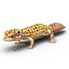 3ds lizards chameleon iguana gecko