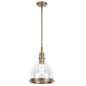 3D Gold 1-Light Rimmed Small Allegheny Glass Pendant