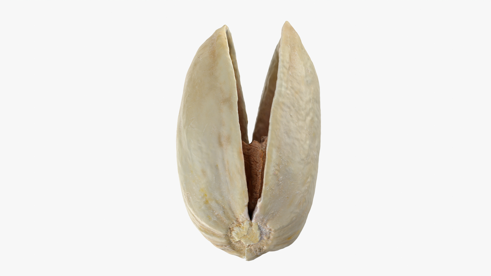 3D model Empty Pistachio Shells https://p.turbosquid.com/ts-thumb/cw/xXUiBo/7N/emppistachio/png/1755244822/1920x1080/turn_fit_q99/7fd9fb501f47e7465e7e7657c9bc26591bd29a95/emppistachio-1.jpg
