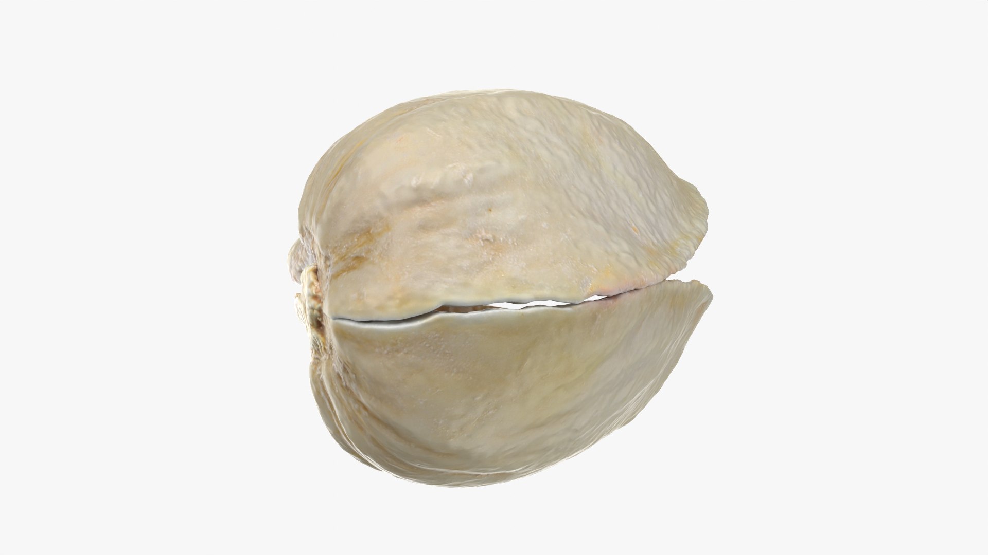 3D model Empty Pistachio Shells https://p.turbosquid.com/ts-thumb/cw/xXUiBo/Jg/pistachio_0005/png/1755244857/1920x1080/fit_q87/8777097b51ded5d5ca43db6abc2d1bc7595dc729/pistachio_0005.jpg