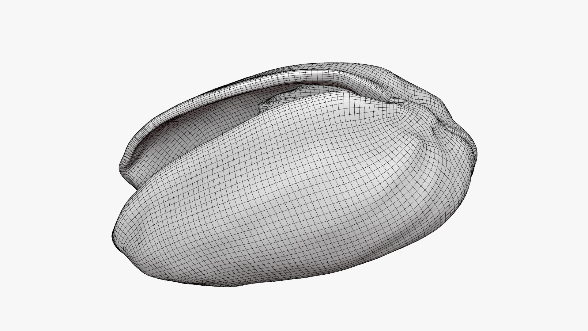 3D model Empty Pistachio Shells https://p.turbosquid.com/ts-thumb/cw/xXUiBo/NF/pistachio_d0012/png/1755244868/1920x1080/fit_q87/a73a7dd4a21313137c53c8d29bee14aa06b6a8ee/pistachio_d0012.jpg
