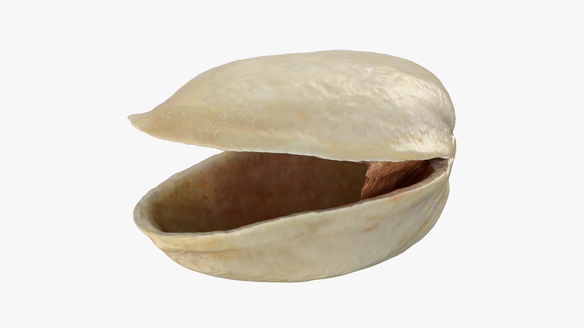 3D model Empty Pistachio Shells https://p.turbosquid.com/ts-thumb/cw/xXUiBo/gL/pistachio_0009/png/1755244860/1920x1080/fit_q87/37d647593d9a1fdbf796b3430fec1bb2d4398d05/pistachio_0009.jpg