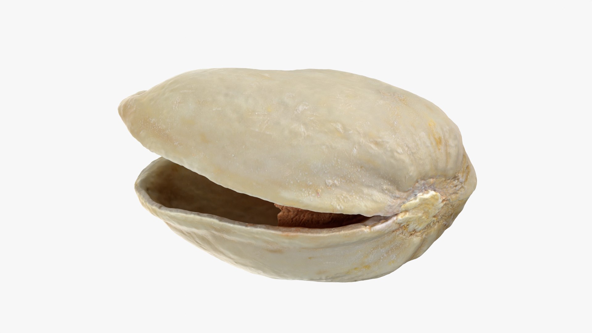 3D model Empty Pistachio Shells https://p.turbosquid.com/ts-thumb/cw/xXUiBo/iX/pistachio_0011/png/1755244862/1920x1080/fit_q87/26be89aea62a979fbe44ae8d7aaf2f89a7d6755a/pistachio_0011.jpg