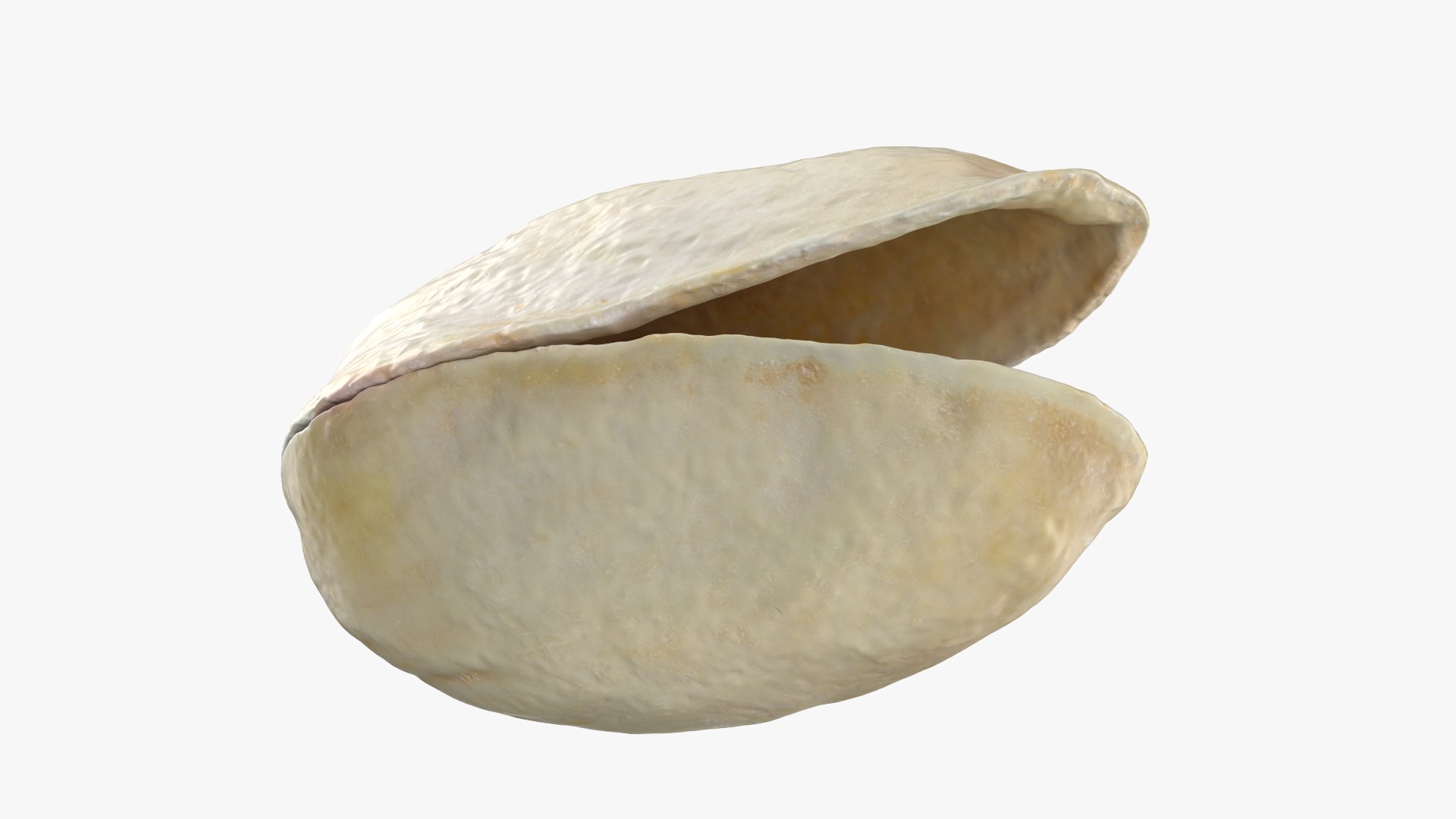 3D model Empty Pistachio Shells https://p.turbosquid.com/ts-thumb/cw/xXUiBo/uL/pistachio_0006/png/1755244858/1920x1080/fit_q87/ccd50ac3f53cc18c60288d10128a18d05173f6cf/pistachio_0006.jpg