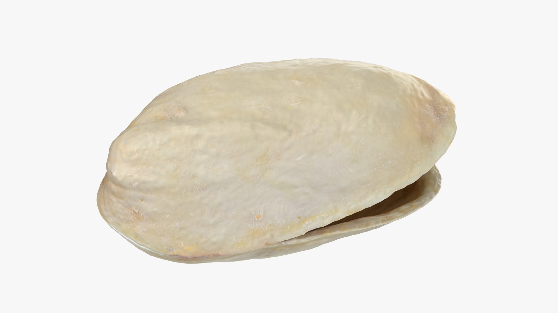 3D model Empty Pistachio Shells https://p.turbosquid.com/ts-thumb/cw/xXUiBo/yi/pistachio_0004/png/1755244858/1920x1080/fit_q87/1bb2fbd33f5692b243f9e193d7ea5192eedb0435/pistachio_0004.jpg