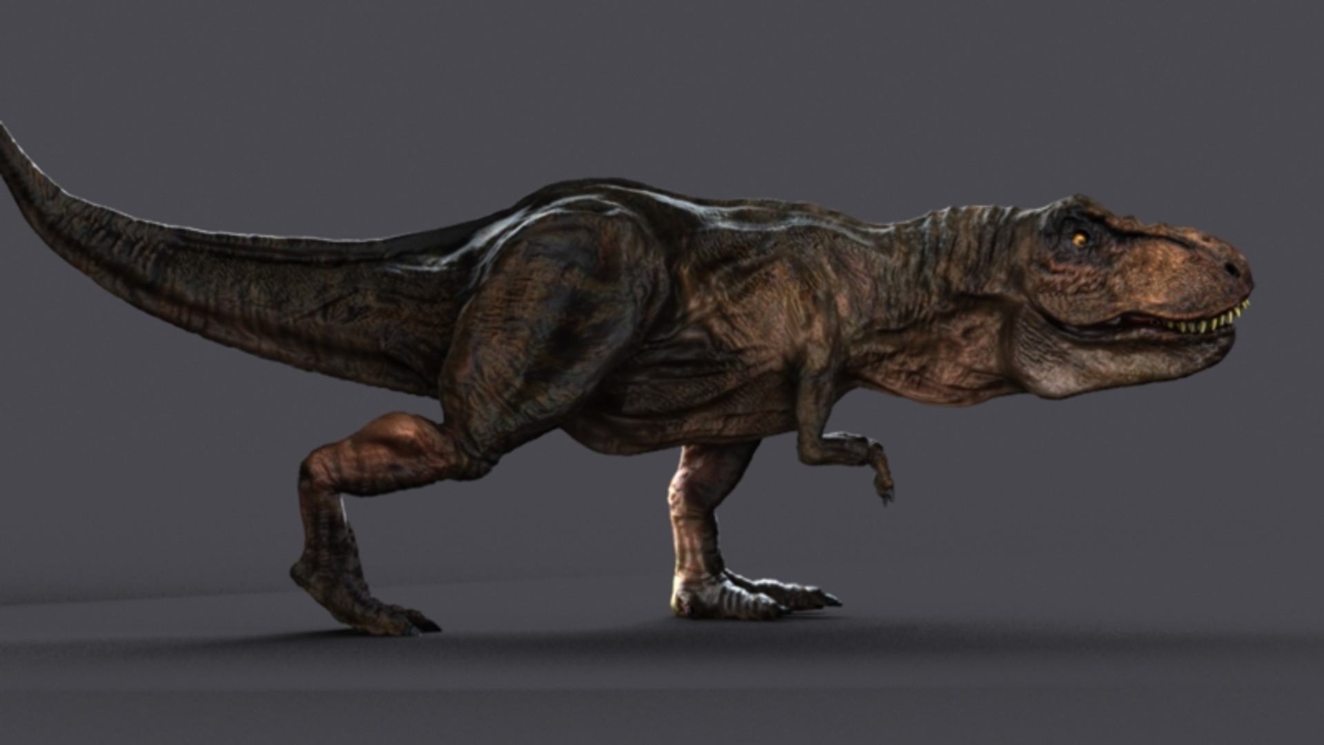 t-rex rex 3d model https://p.turbosquid.com/ts-thumb/cx/0BabnT/AZxoctKf/0000/jpg/1446571175/1920x1080/turn_fit_q99/c7381282eeb7caf8feddf814bb84fba8c3e3efdd/0000-1.jpg