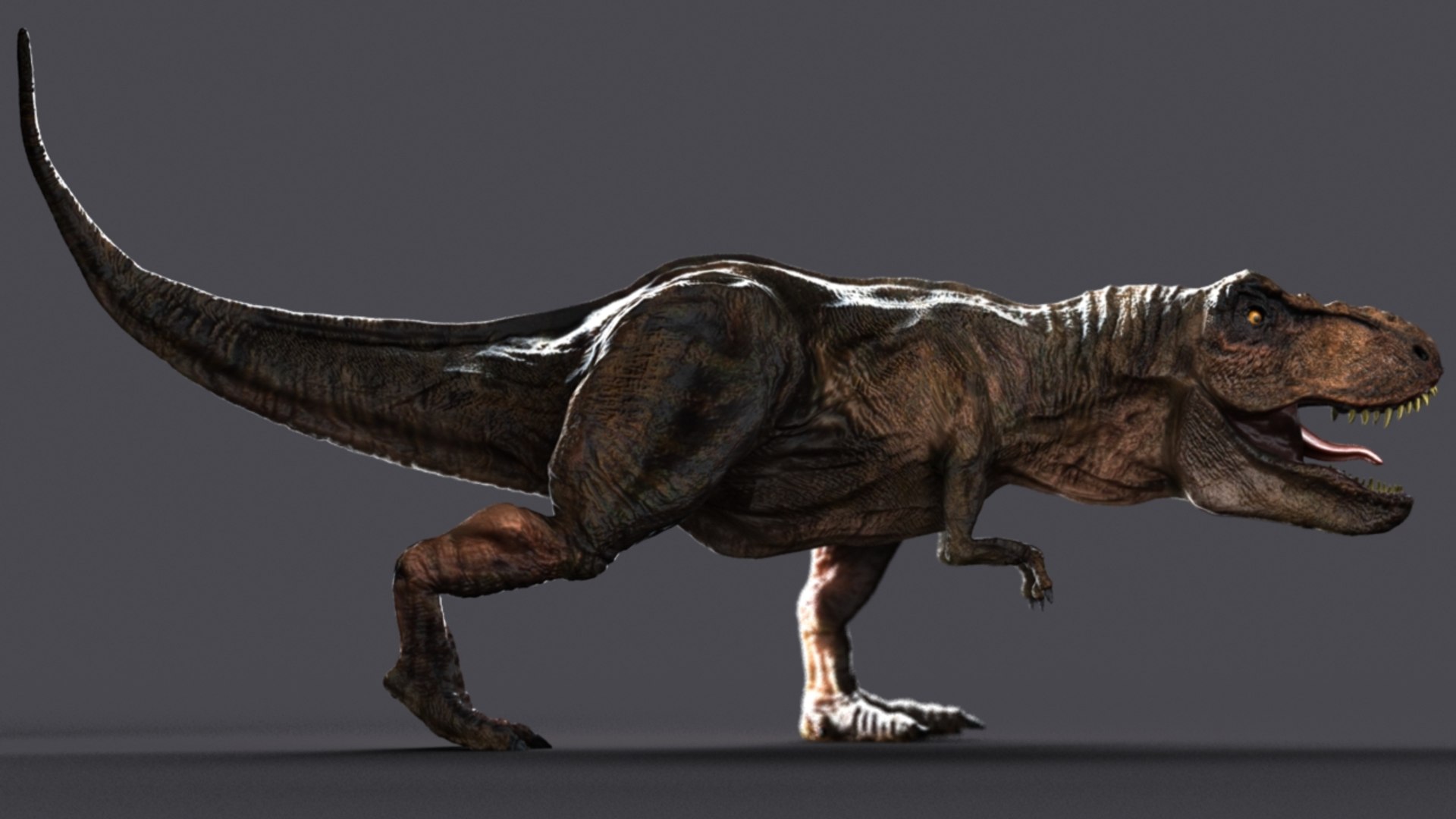 t-rex rex 3d model https://p.turbosquid.com/ts-thumb/cx/0BabnT/WxULgbS0/3/jpg/1441408202/1920x1080/fit_q87/edc41c0ead84faca0b9ac9863ab5752f8ab423f1/3.jpg