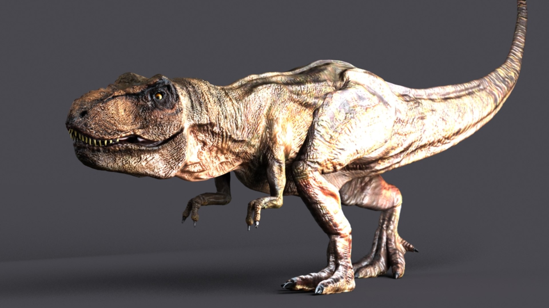 t-rex rex 3d model https://p.turbosquid.com/ts-thumb/cx/0BabnT/YLF92D1q/9/jpg/1441408202/1920x1080/fit_q87/ba7a848583d04a5f1455828143effbba92303365/9.jpg