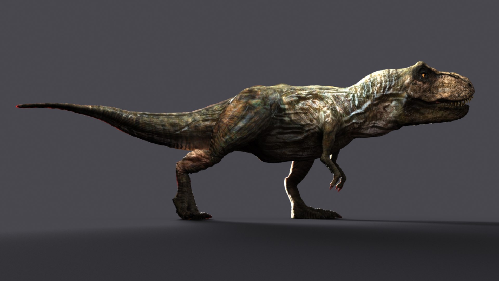 t-rex rex 3d model https://p.turbosquid.com/ts-thumb/cx/0BabnT/eZ2SXLZf/i233cimgpsh_orig/jpg/1441408203/1920x1080/fit_q87/dbca8ad246486fd5d64e1a1e2e535da450c3b1c7/i233cimgpsh_orig.jpg