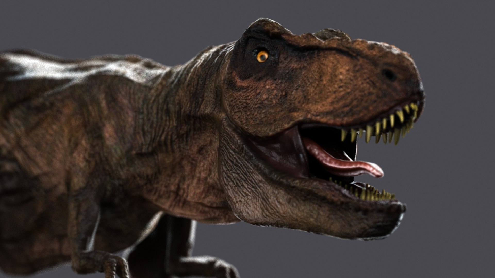 t-rex rex 3d model https://p.turbosquid.com/ts-thumb/cx/0BabnT/nSz8NooQ/2/jpg/1441408202/1920x1080/fit_q87/80e65314b942401211452eb56e2a12a3208f44ef/2.jpg