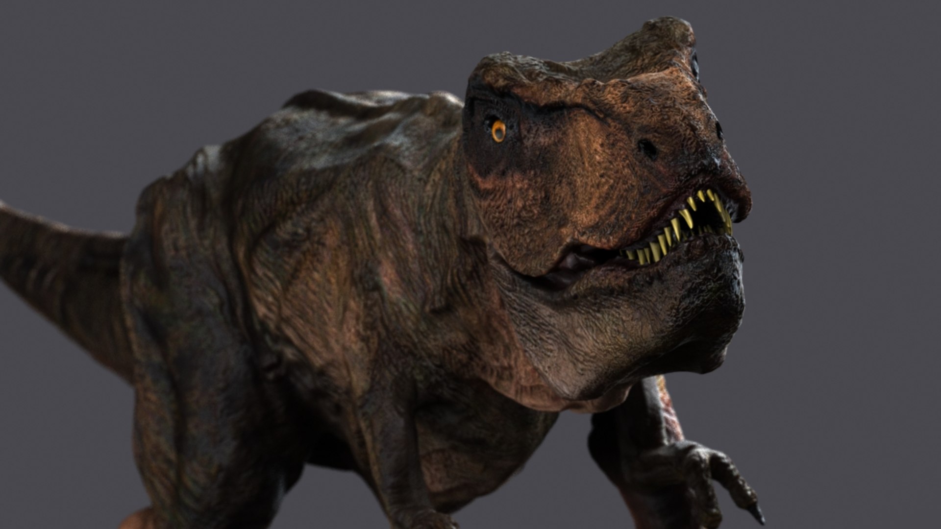 t-rex rex 3d model https://p.turbosquid.com/ts-thumb/cx/0BabnT/oufhZXxu/7/jpg/1441408202/1920x1080/fit_q87/3054ccd1331a4353968fc674ade9c75037ccdaab/7.jpg