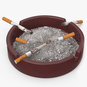 Ashtray with Cigarettes and Pile of Ashes
