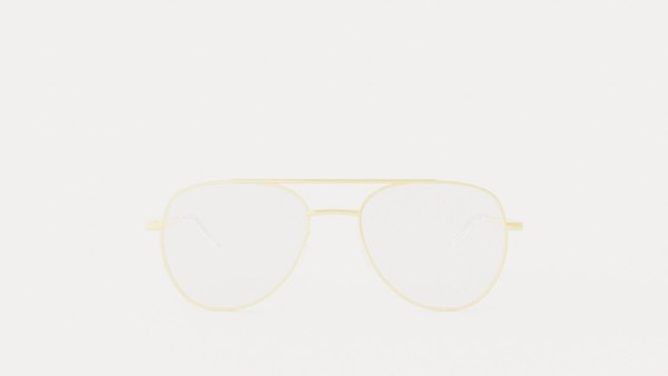 Eco - Brisbane Gold Glasses model