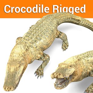 crocodile rigged 3D model