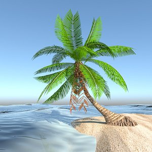 palmera palm tree 3D model