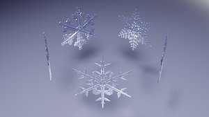 Snowflakes model