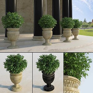 3d traditional entrance plant