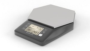 Coffee Scale model