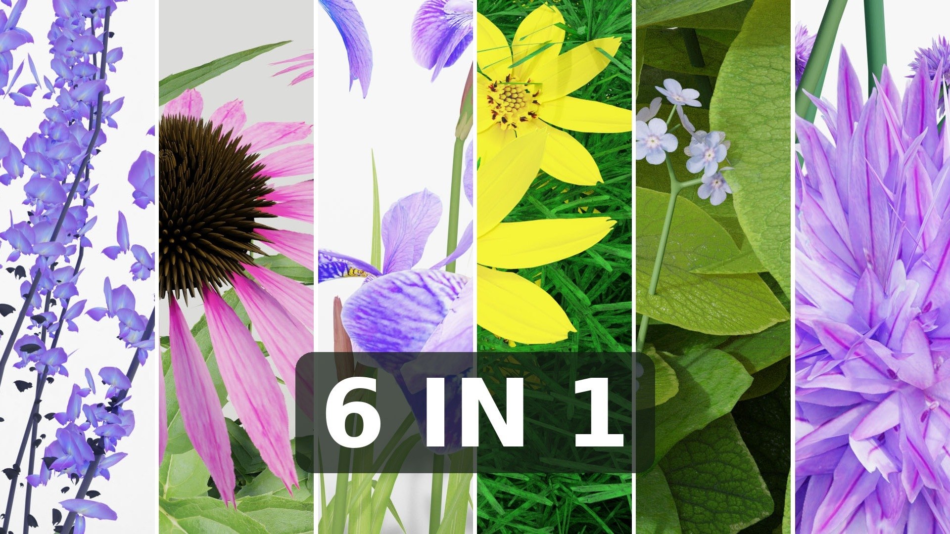 3D Perennial Border Collection - Salvia, Echinacea, Iris, Coreopsis, Brunnera and Allium Garden Plants https://p.turbosquid.com/ts-thumb/cy/81EBif/Ew/01_thumbnail/jpg/1791917525/1920x1080/fit_q87/b25b41d2703de3700f855ad7ac56ba6beee8f9e8/01_thumbnail.jpg