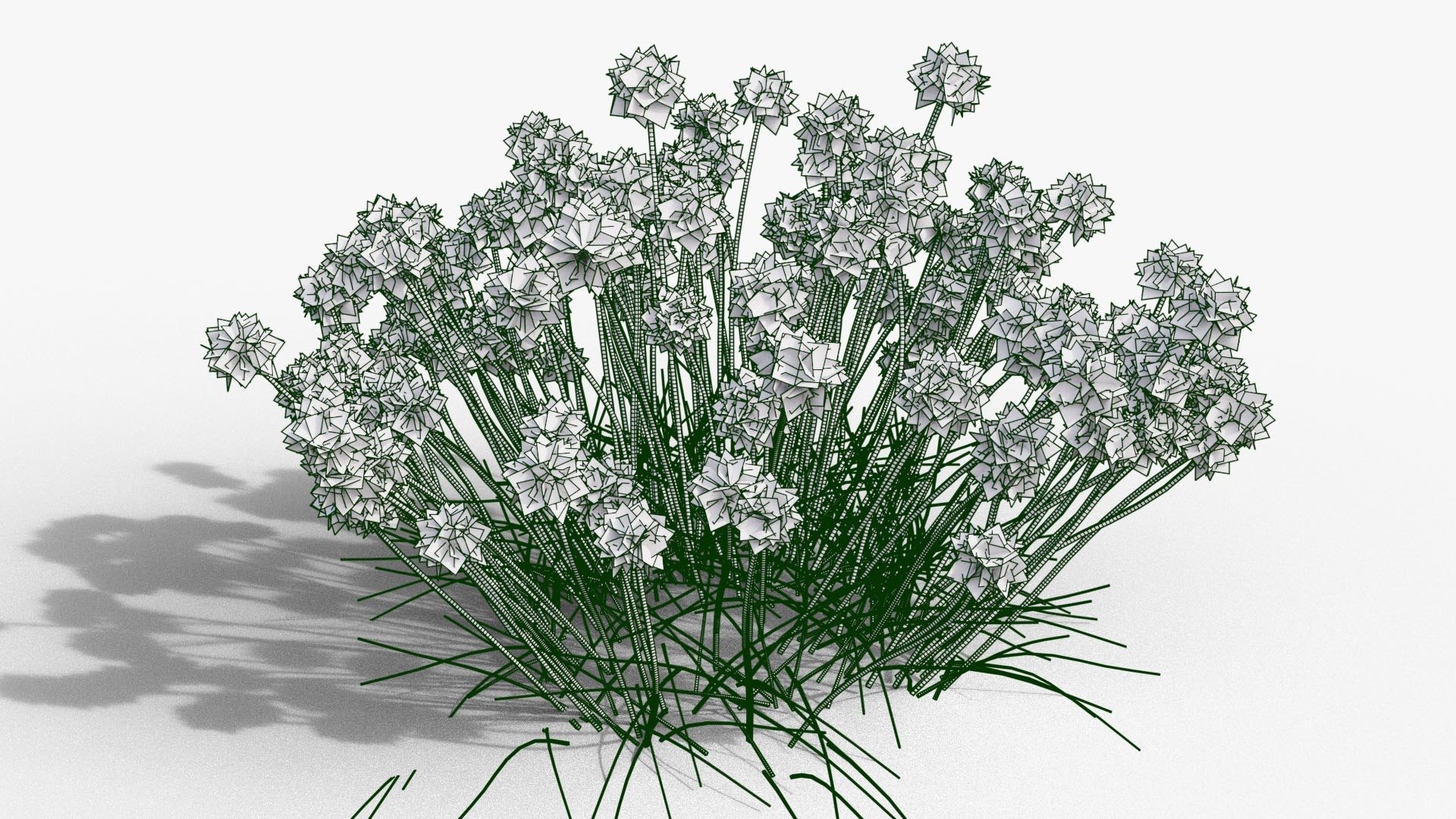 3D Perennial Border Collection - Salvia, Echinacea, Iris, Coreopsis, Brunnera and Allium Garden Plants https://p.turbosquid.com/ts-thumb/cy/81EBif/HN/25_24_allium_wireframe/jpg/1791917538/1920x1080/fit_q87/1114a4d6594e9e64d555edf7d8af11b10553e30f/25_24_allium_wireframe.jpg