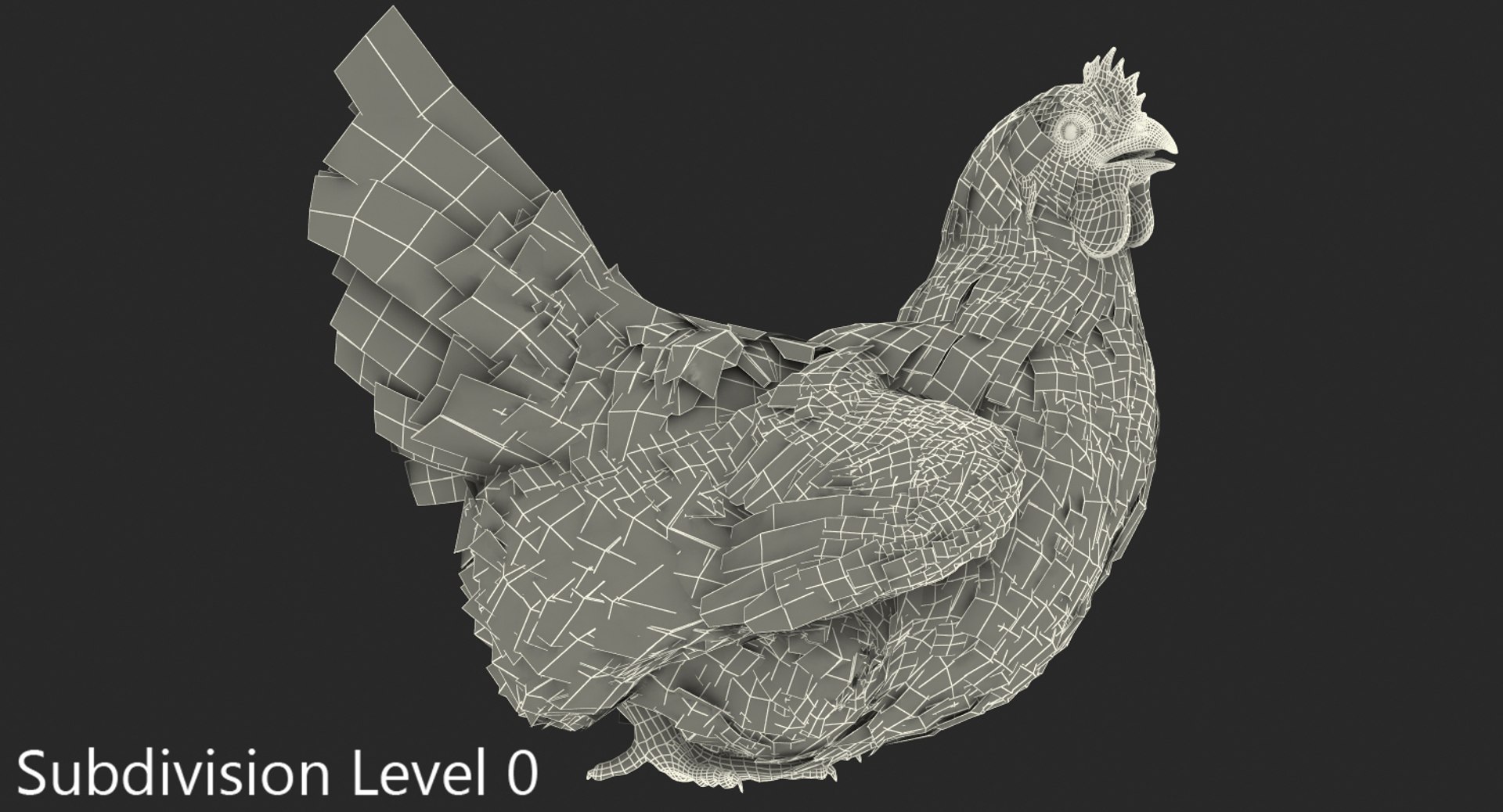 3D white chicken sitting pose model - TurboSquid 1158193