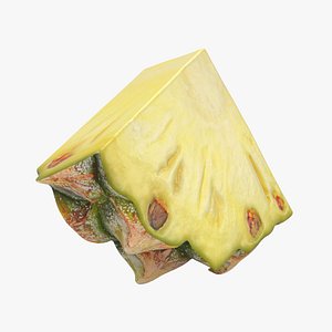 Pineapple Slice 3
