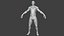 3D model MaleAnatomy