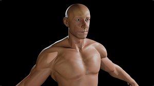 MaleAnatomy
