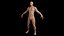3D model MaleAnatomy