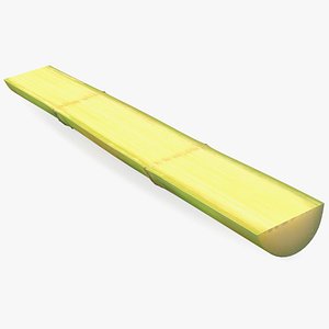 Fresh Sugarcane Half Cut Piece